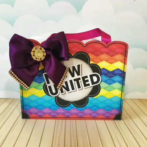 SACOLINHA NOW UNITED