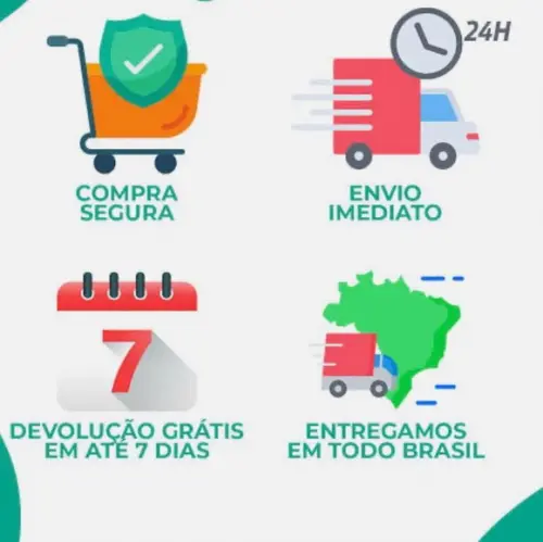 12 Conchas Búzios Peguari Dúzia