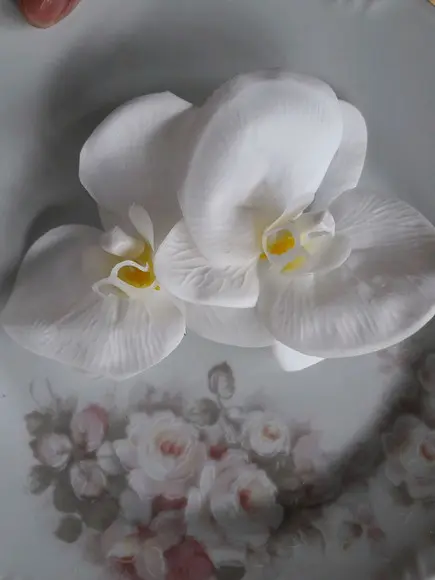 Arranjo Orquídeas brancas