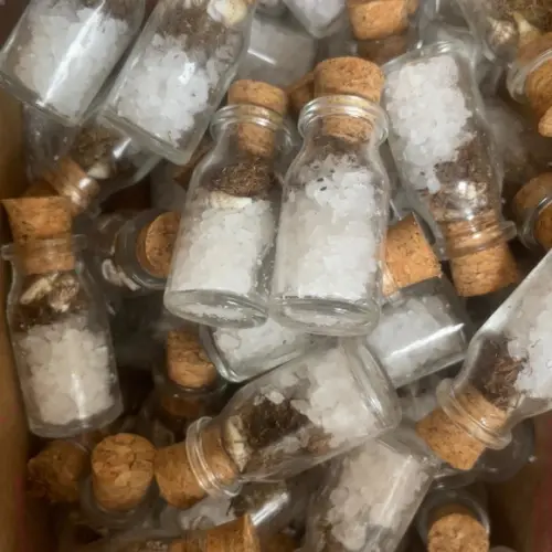 Garrafinha Lembrancinha Sal e Conchas