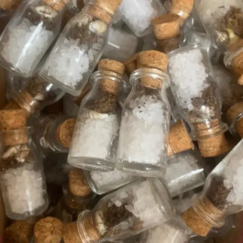 Garrafinha Lembrancinha Sal e Conchas