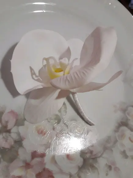 Lapela orquídea
