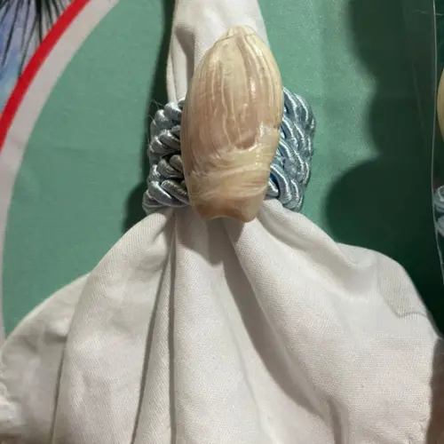 Porta Guardanapo Concha Buzios