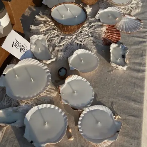 Vela Concha Shell