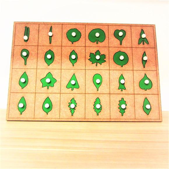 Encaixes de Botânica Montessori