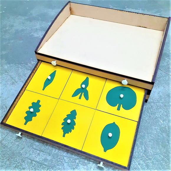 Gabinete de Botânica Montessori