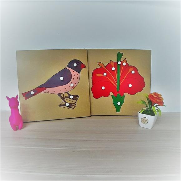 Quebra Cabeças Montessori Botânica Flor