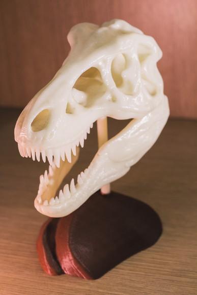 Esqueleto Tiranossauro Rex Decorativo