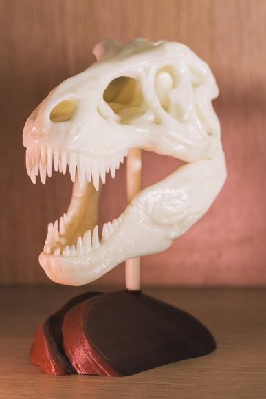 Esqueleto Tiranossauro Rex Decorativo
