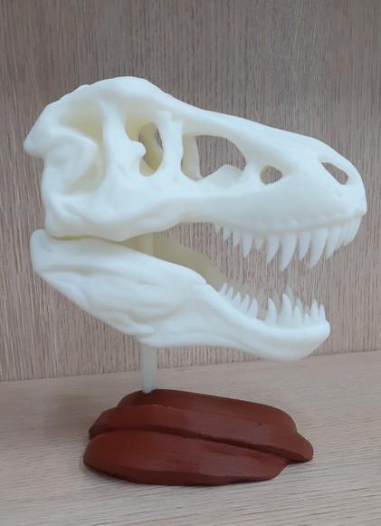 Esqueleto Tiranossauro Rex Decorativo