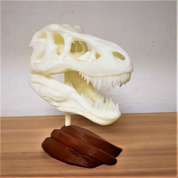 Esqueleto Tiranossauro Rex Decorativo