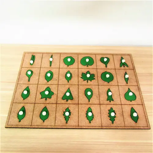 Encaixes de Botânica Montessori