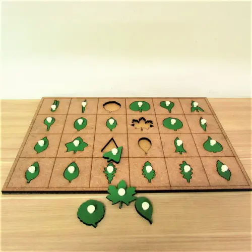 Encaixes de Botânica Montessori