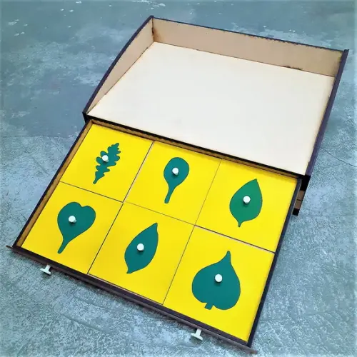 Gabinete de Botânica Montessori