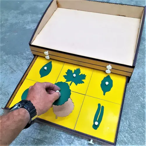 Gabinete de Botânica Montessori