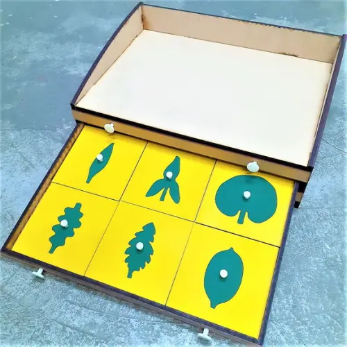 Gabinete de Botânica Montessori