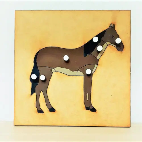 Quebra Cabeças Montessori de Biologia Cavalo