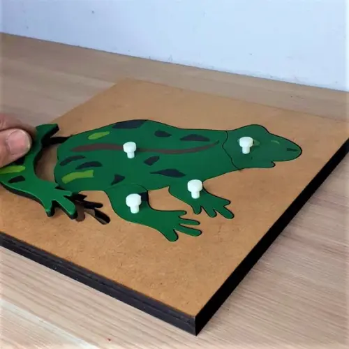 Quebra Cabeças Montessori de Biologia Sapo