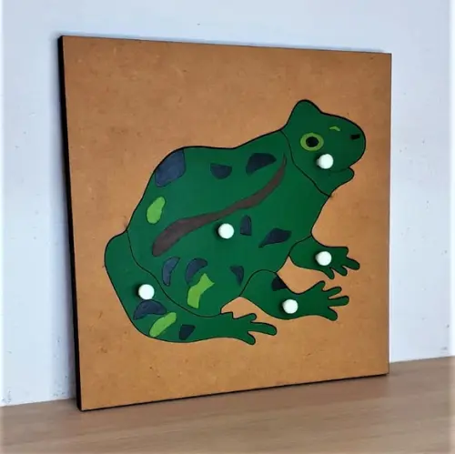 Quebra Cabeças Montessori de Biologia Sapo