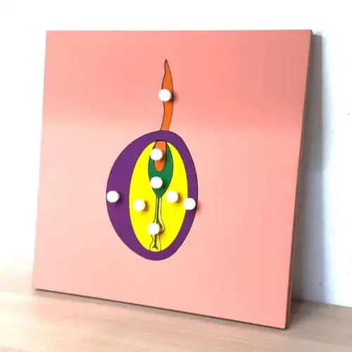 Quebra Cabeças Montessori de Botânica Semente