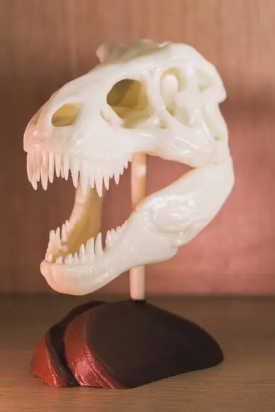 Esqueleto Tiranossauro Rex Decorativo
