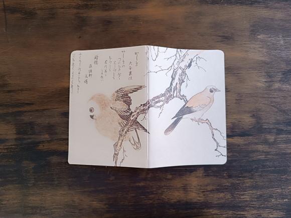 Caderno A5 Pássaros Brochurinha