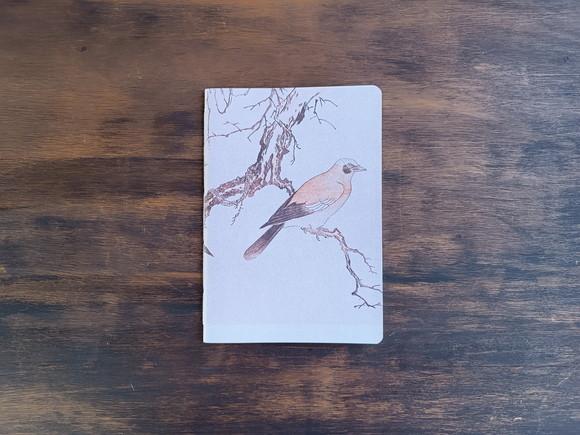 Caderno A5 Pássaros Brochurinha