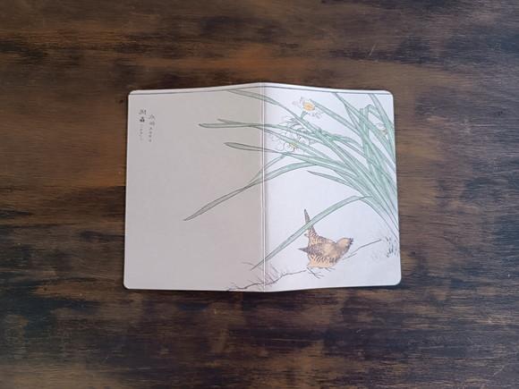 Caderno A5 Pássaro no Chão Brochurinha