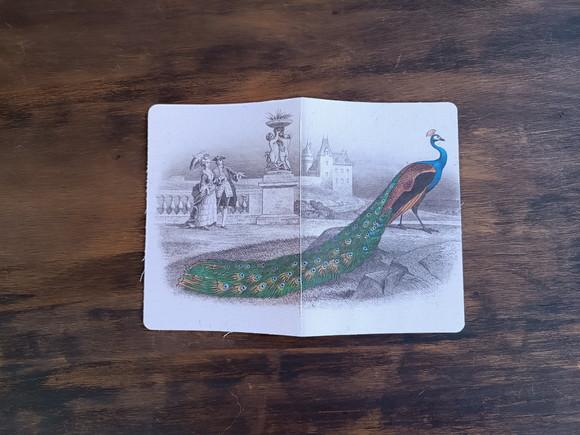 Caderno A5 Pavão Brochurinha
