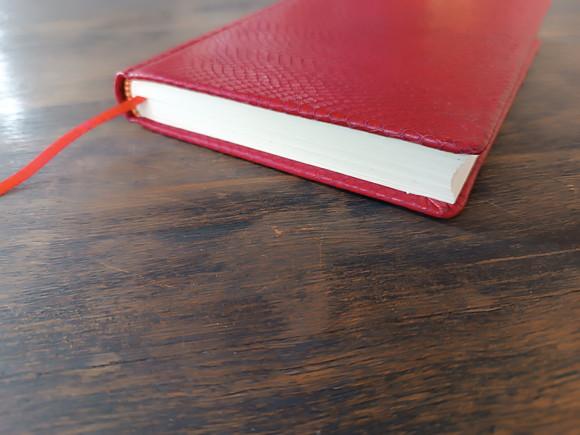 Caderno Vermelho Capa Dura de Couro Estampa Cobra