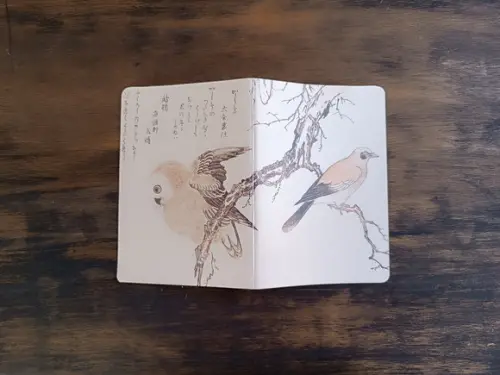 Caderno A5 Pássaros Brochurinha