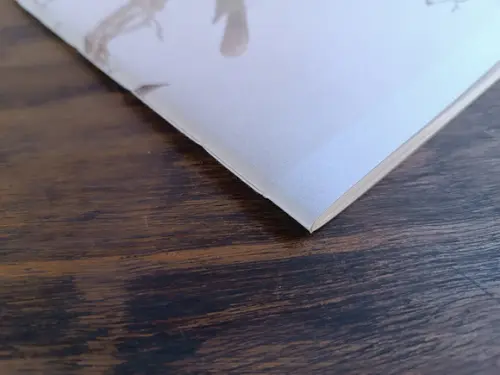 Caderno A5 Pássaros Brochurinha
