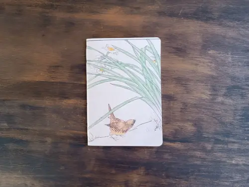 Caderno A5 Pássaro no Chão Brochurinha