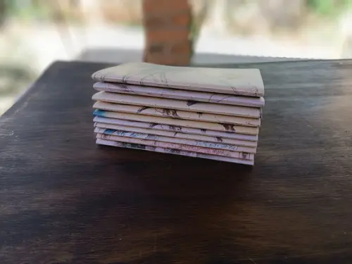 Caderno A5 Pássaro no Chão Brochurinha