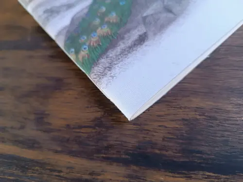 Caderno A5 Pavão Brochurinha
