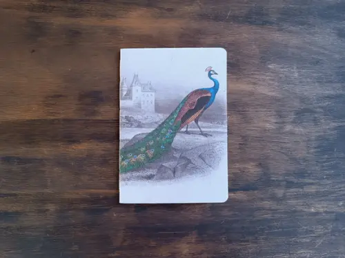 Caderno A5 Pavão Brochurinha