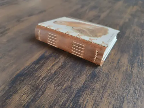 Caderno A6 Coruja No5 Capa Dura