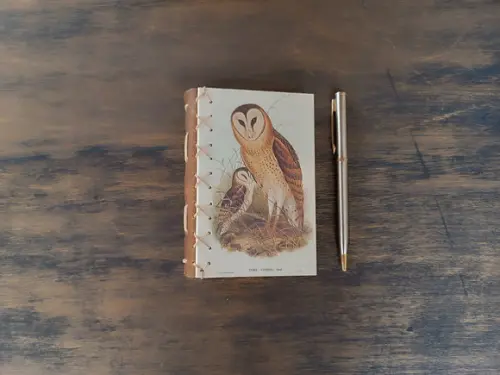 Caderno A6 Coruja No5 Capa Dura
