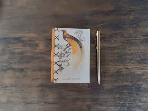 Caderno A6 Pássaro No2 Capa Dura