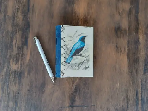 Caderno A6 Pássaro No6 Capa Dura