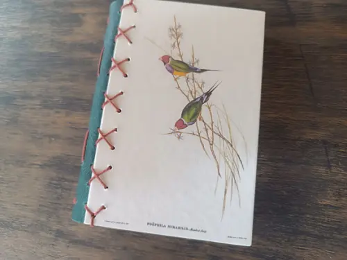 Caderno A6 Pássaros No3 Capa Dura Verde