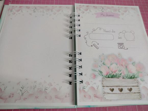 Caderneta de Vacina Floral Menina Personalizada + Brinde