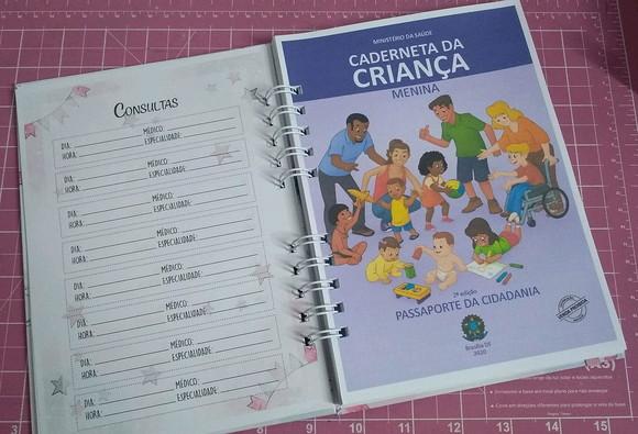 Caderneta de Vacina Minnie Capa Dura + Brinde
