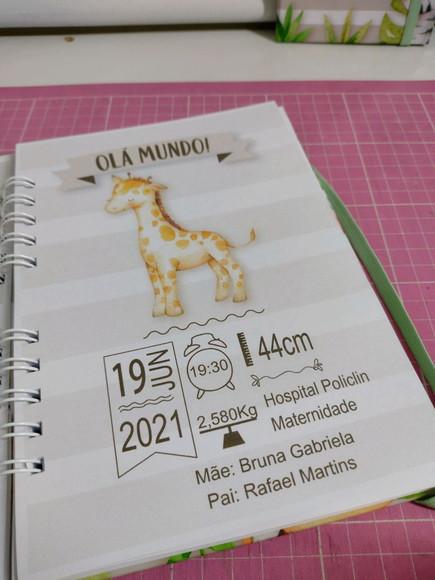 Caderneta De Vacina Personalizada Safari+brinde