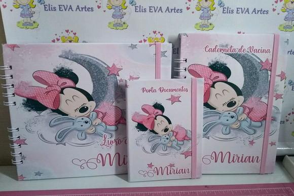 Kit Livro Do Bebê C/ Caderneta De Vacinação Minnie + Brinde