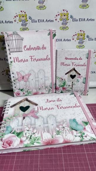 Kit Livro do Bebê c/ Caderneta de Vacinação Jardim Encantado