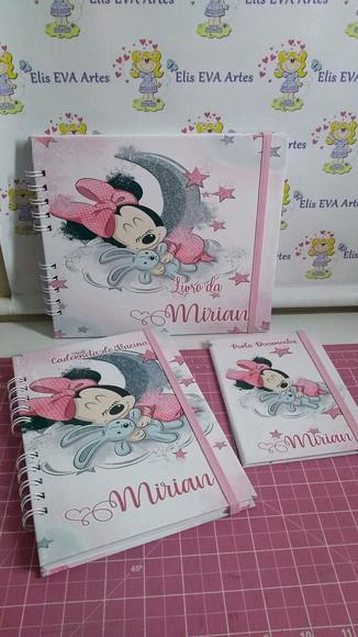 Kit Livro Do Bebê C/ Caderneta De Vacinação Minnie + Brinde