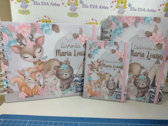 Kit Livro do Bebê e Caderneta de Vacinação Floresta Menina