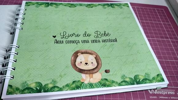 Kit Livro do Bebê c/ Caderneta de Vacinação Safari + Brinde