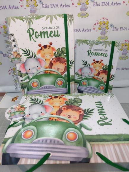 Kit Maternidade Caderneta/pasta Plástica e Porta Documentos